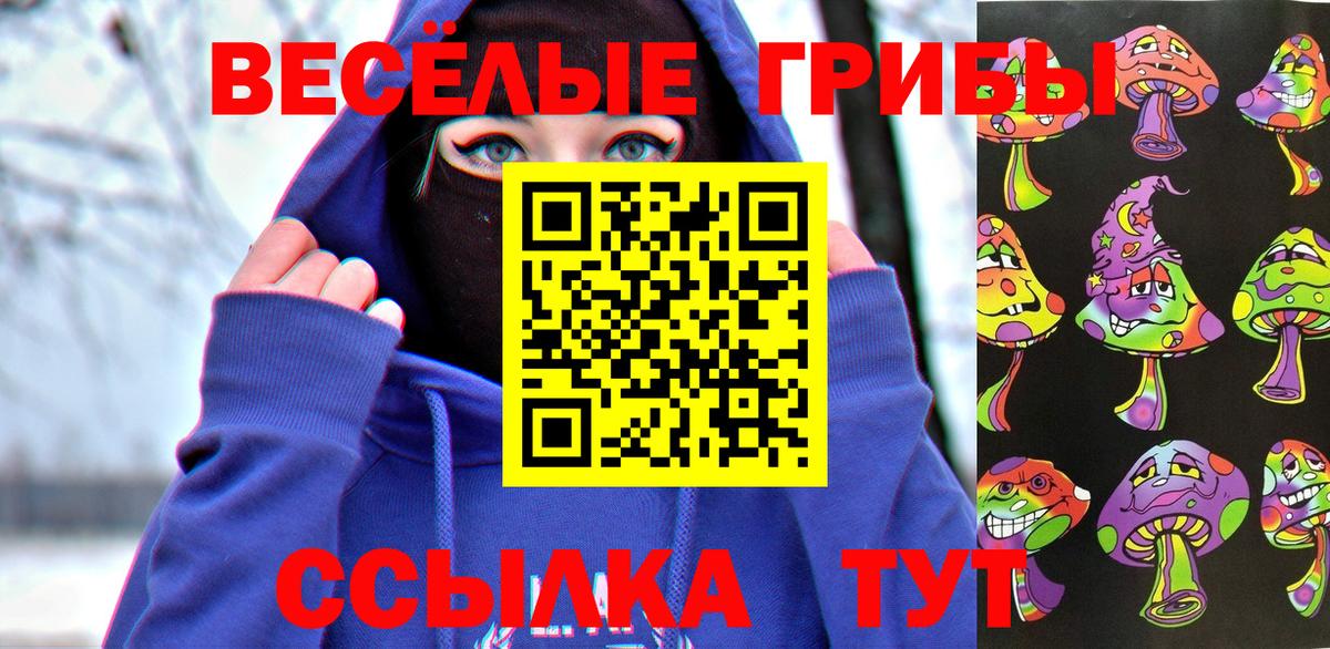 Галлюциногенные грибы Psilocybe Ноябрьск